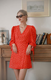 Red Daisy Print V-neck Long Sleeve Dress - By Quaint